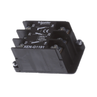 XENG1491